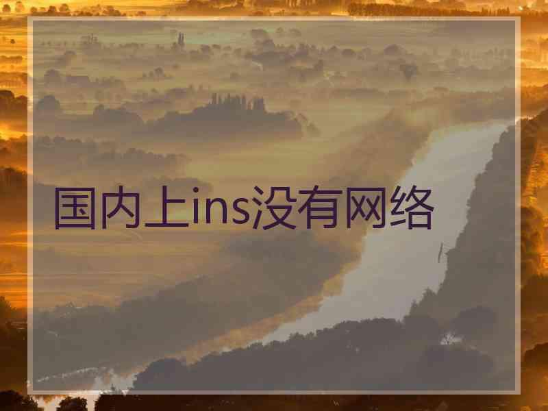 国内上ins没有网络