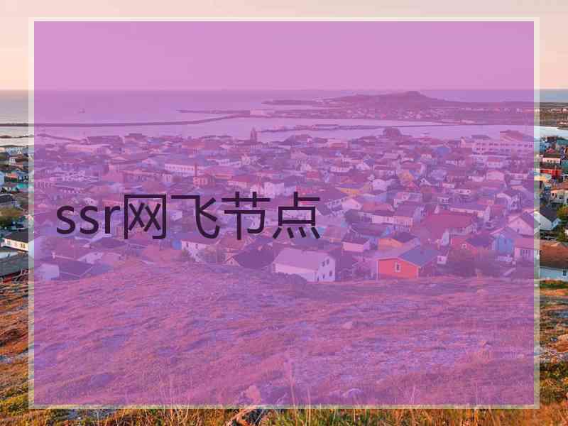 ssr网飞节点