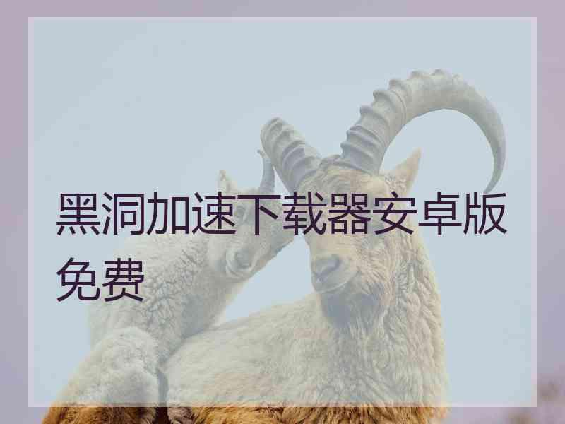 黑洞加速下载器安卓版免费