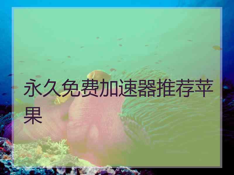 永久免费加速器推荐苹果
