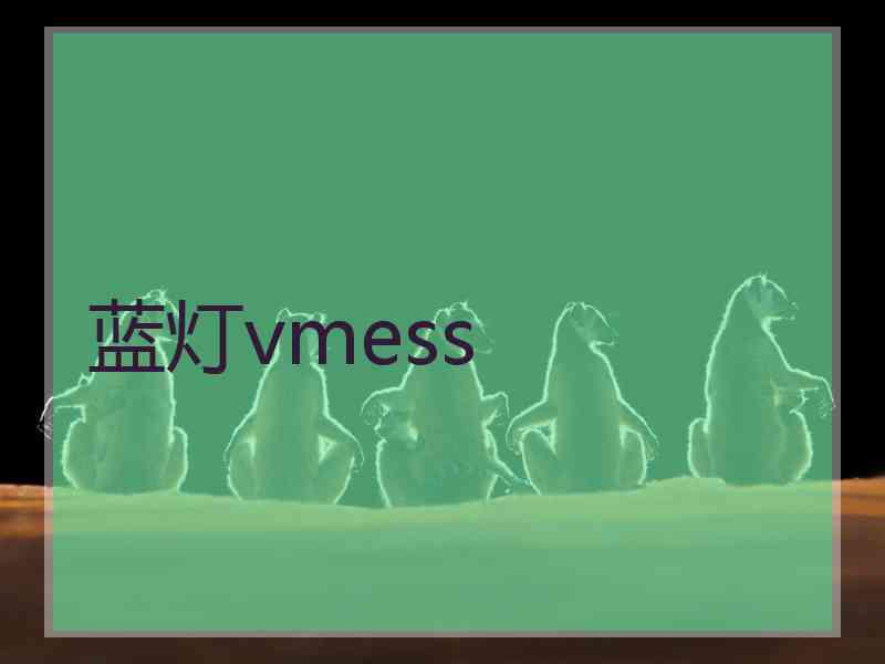 蓝灯vmess