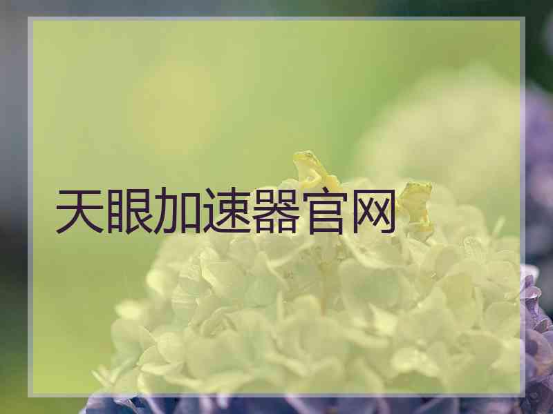 天眼加速器官网