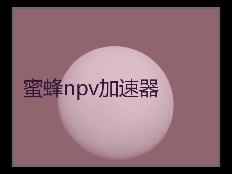 蜜蜂npv加速器