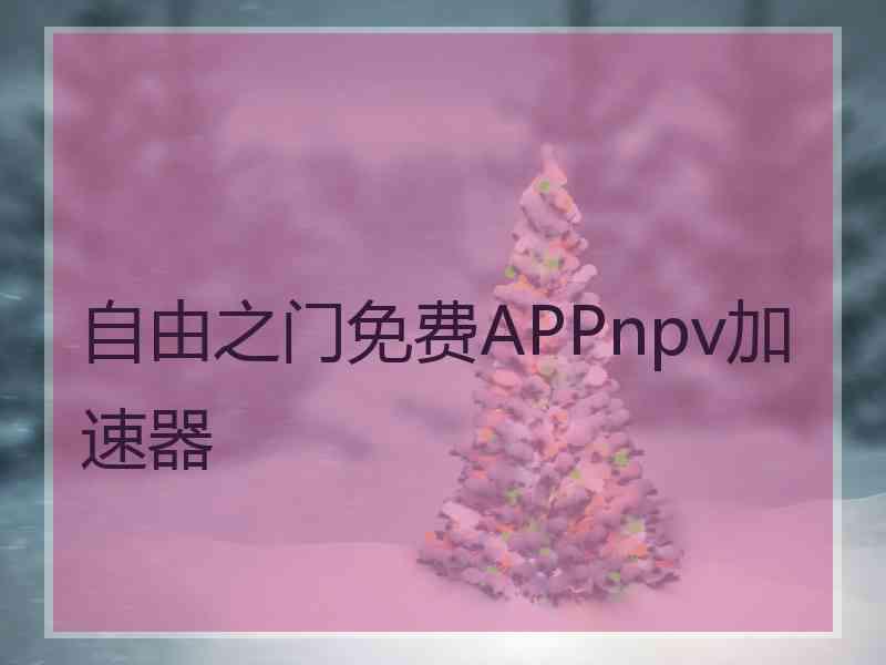 自由之门免费APPnpv加速器