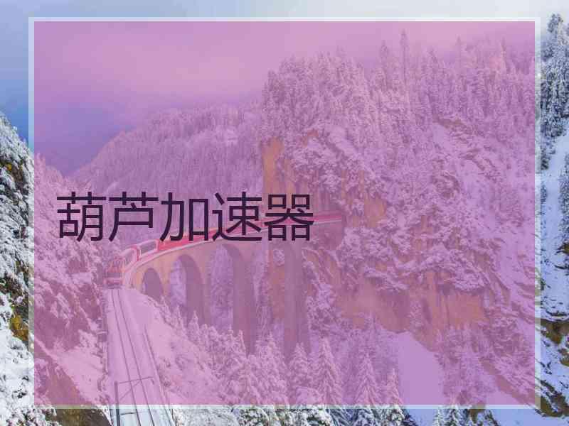 葫芦加速器