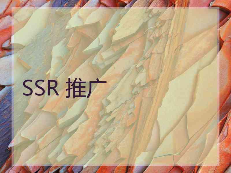 SSR 推广