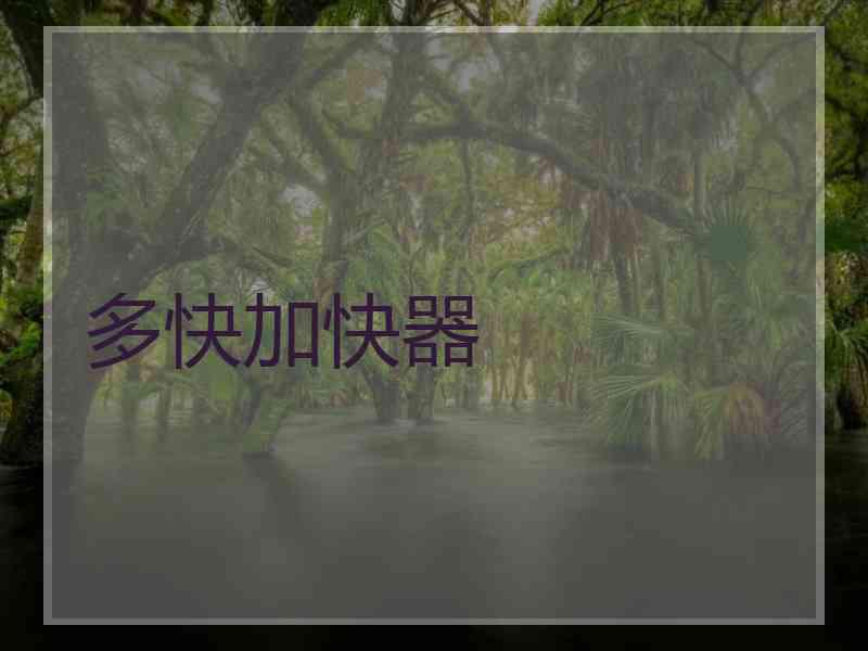 多快加快器
