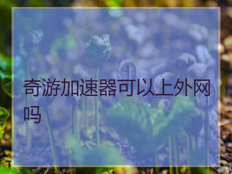 奇游加速器可以上外网吗