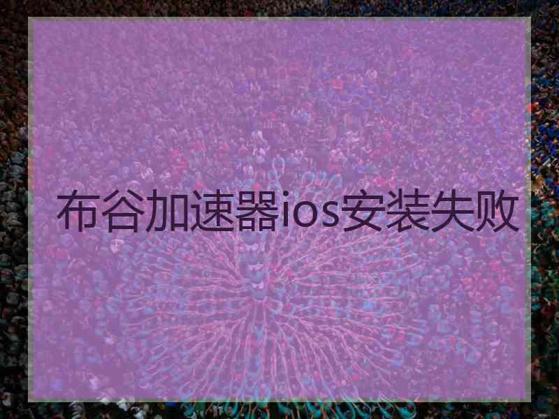 布谷加速器ios安装失败