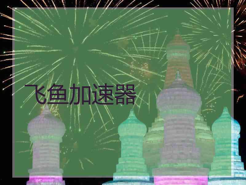 飞鱼加速器