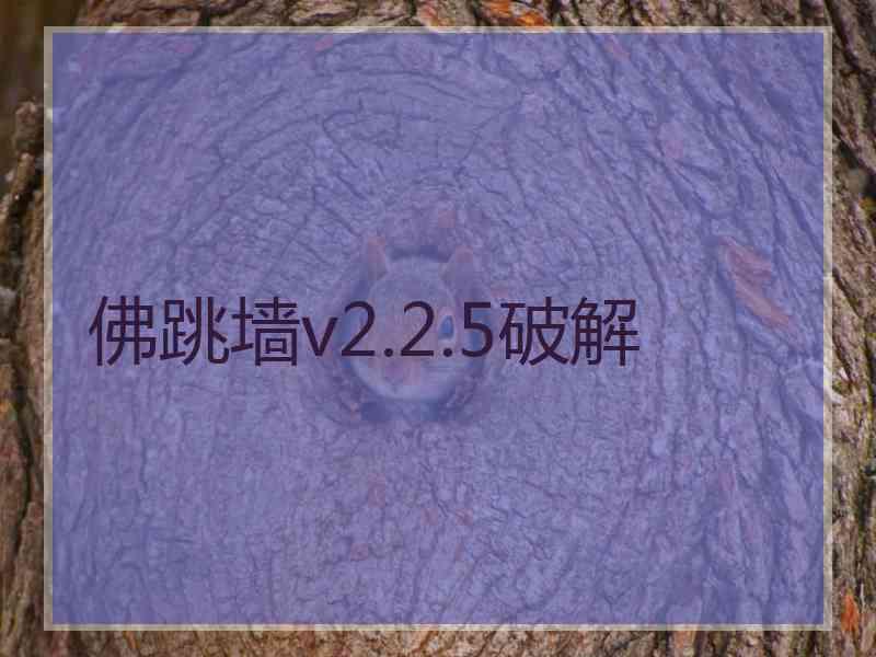 佛跳墙v2.2.5破解