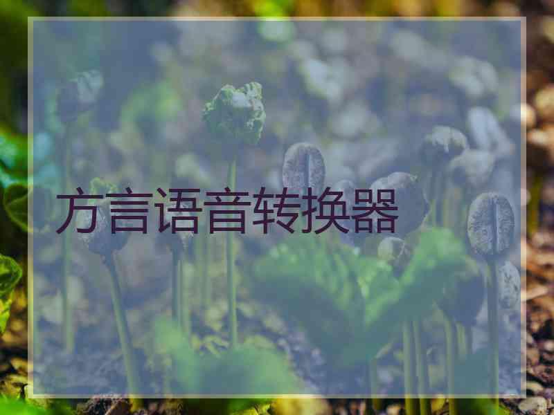 方言语音转换器
