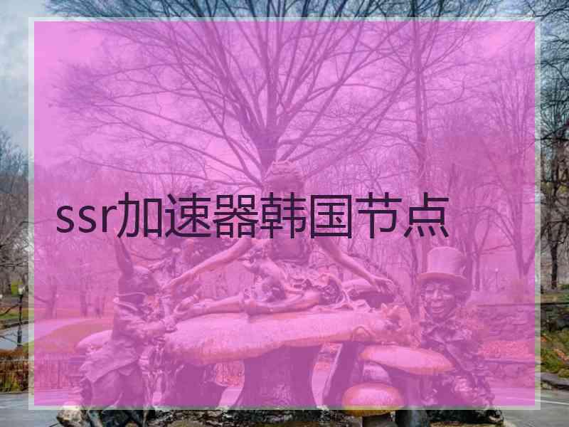 ssr加速器韩国节点
