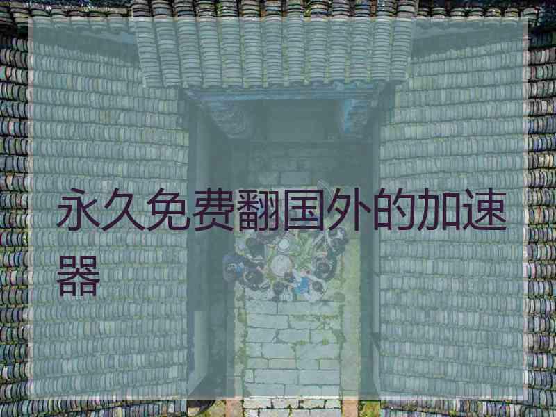 永久免费翻国外的加速器