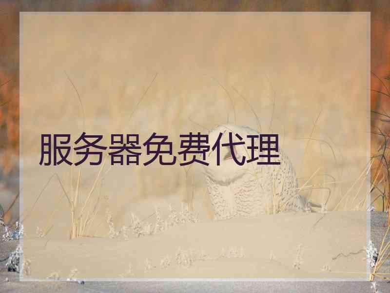 服务器免费代理