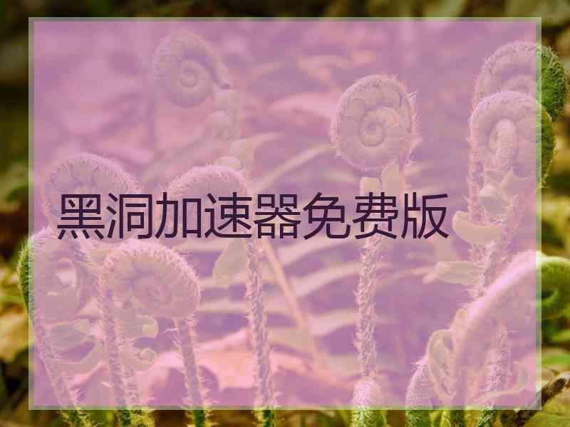黑洞加速器免费版