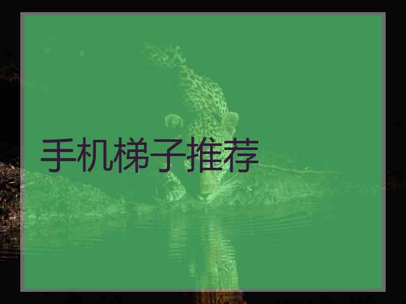手机梯子推荐