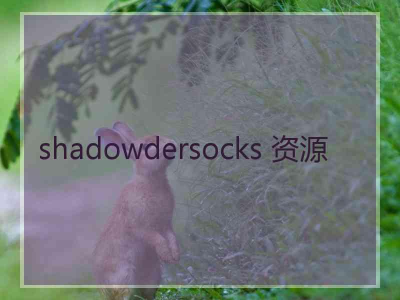 shadowdersocks 资源