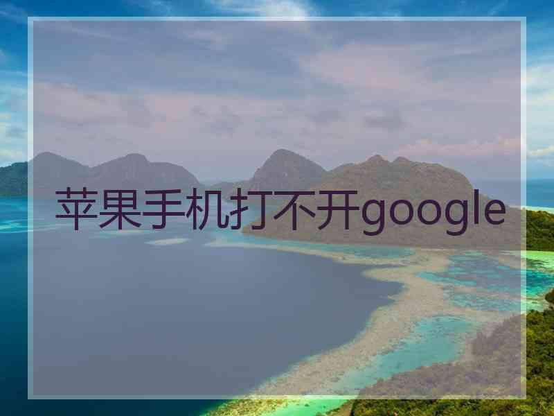 苹果手机打不开google