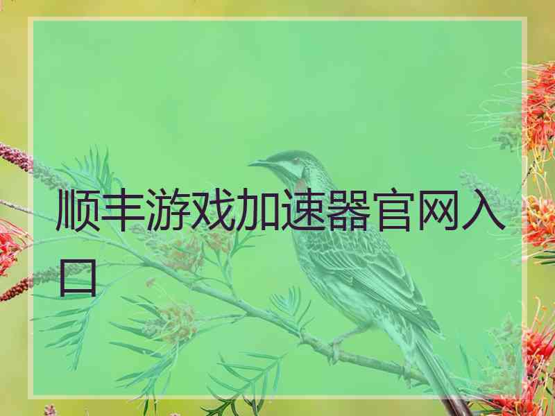 顺丰游戏加速器官网入口
