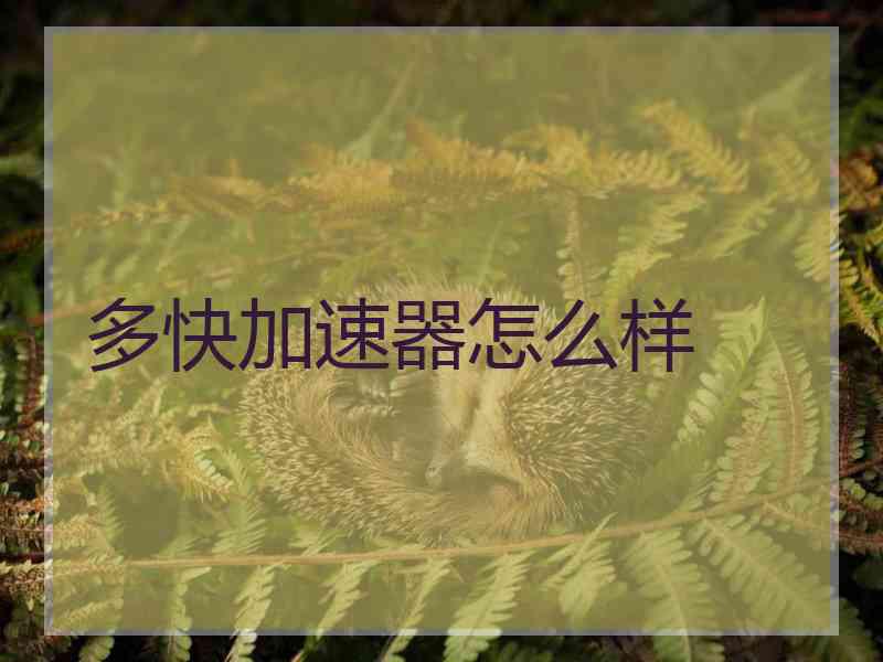 多快加速器怎么样