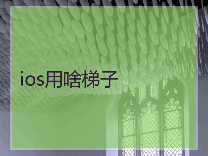 ios用啥梯子