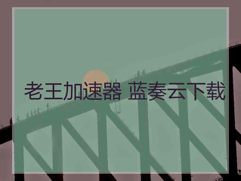 老王加速器 蓝奏云下载