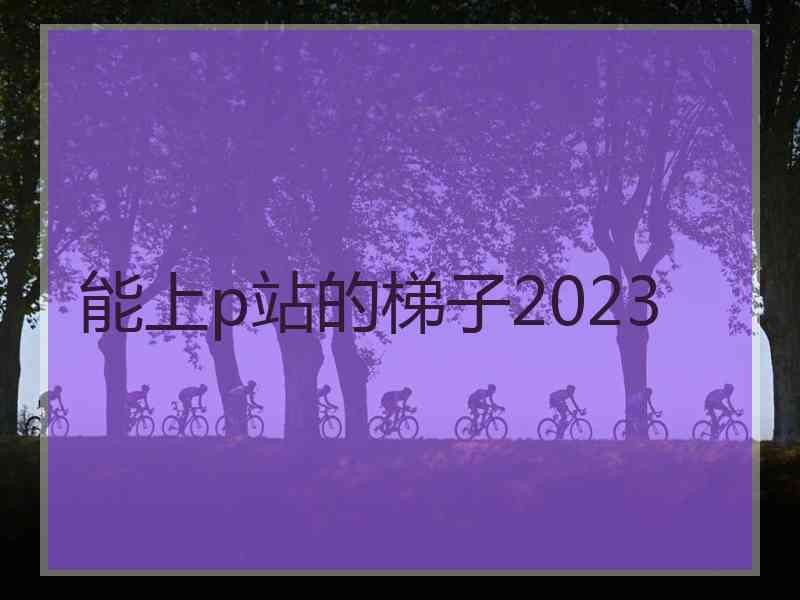 能上p站的梯子2023