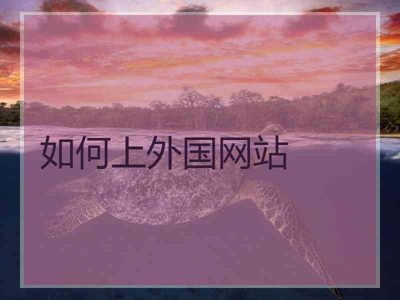 如何上外国网站
