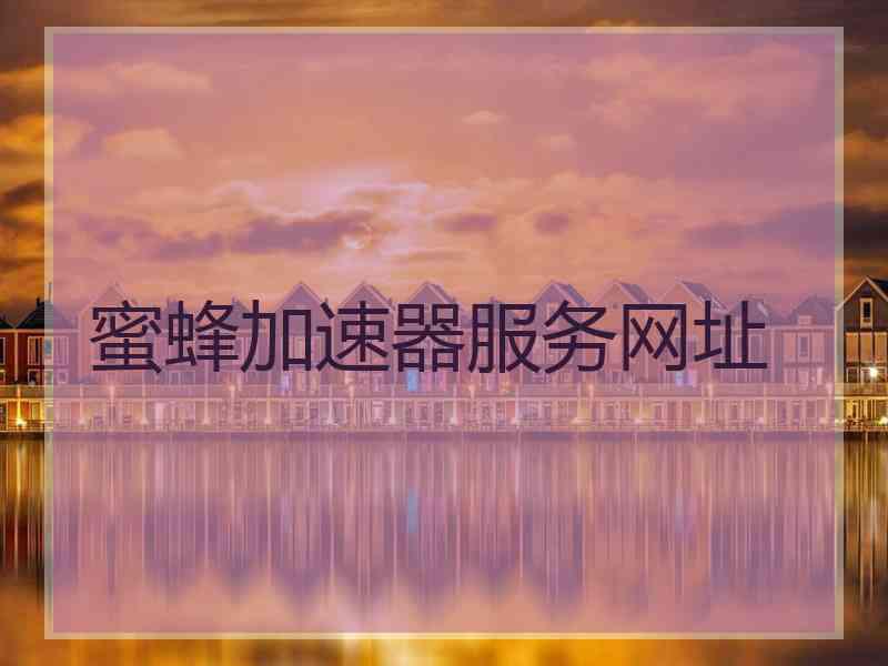 蜜蜂加速器服务网址