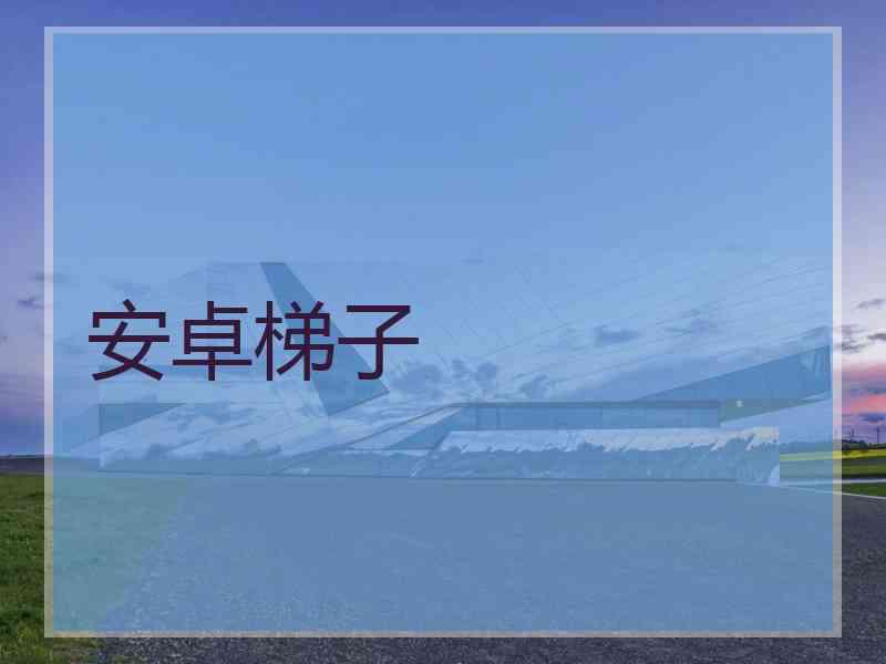 安卓梯子