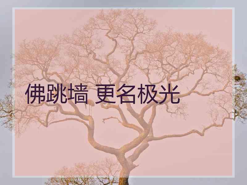 佛跳墙 更名极光
