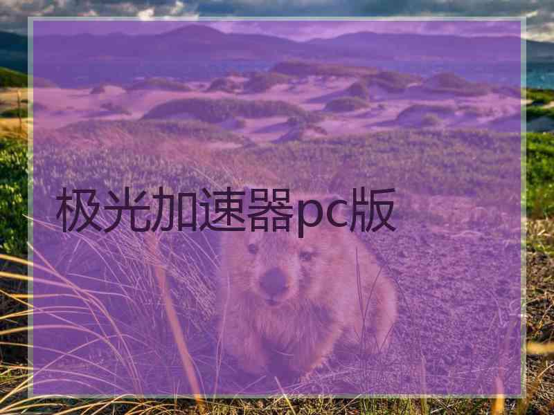 极光加速器pc版