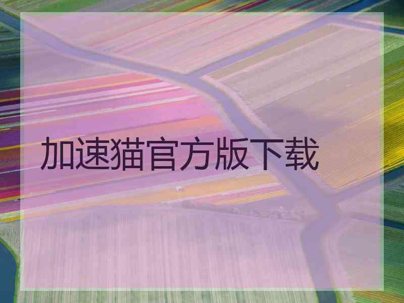 加速猫官方版下载