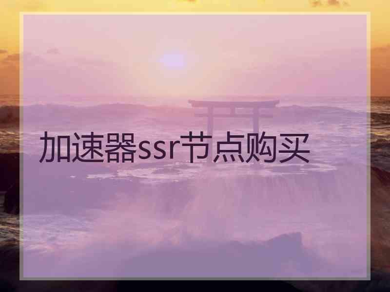 加速器ssr节点购买