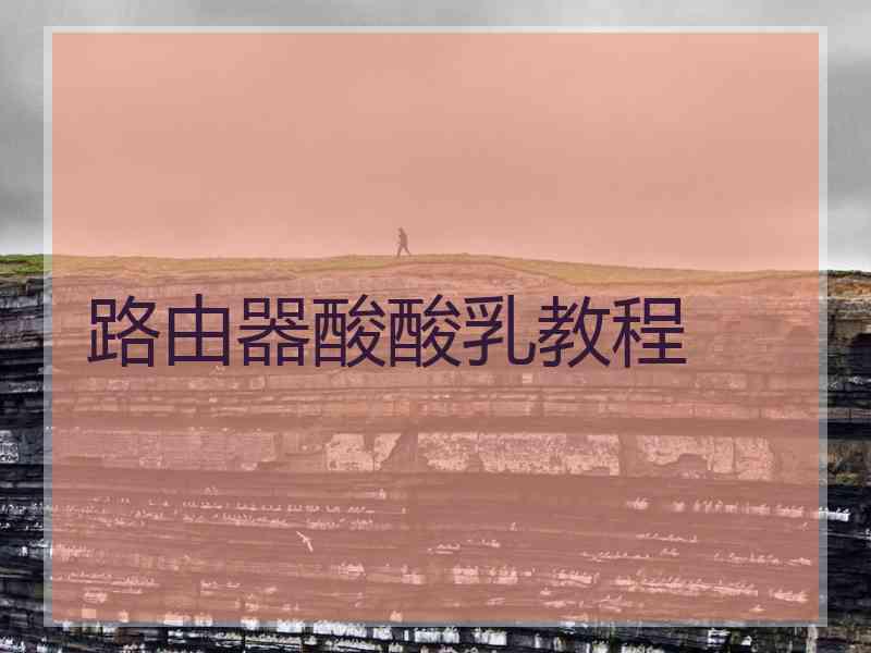 路由器酸酸乳教程