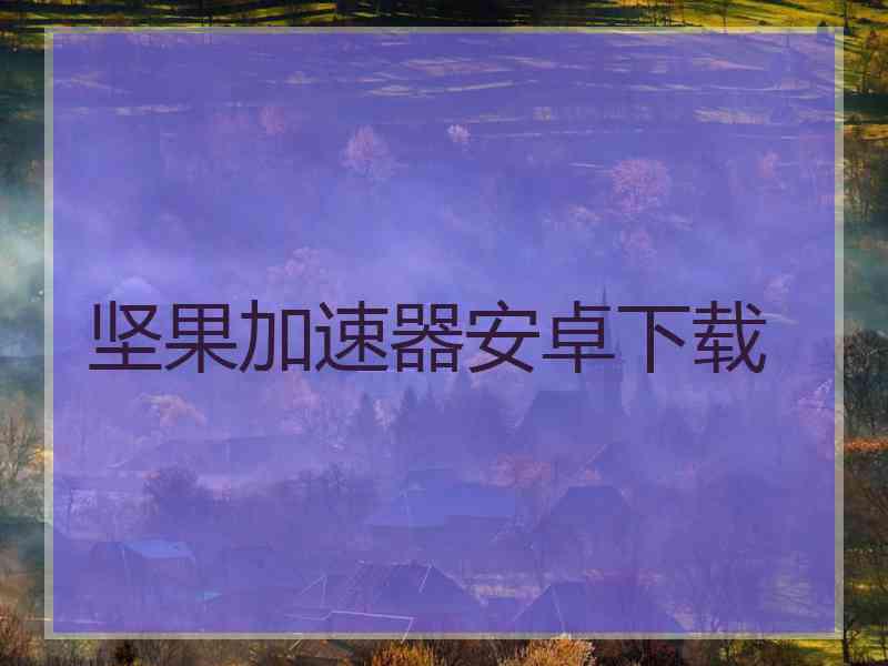 坚果加速器安卓下载
