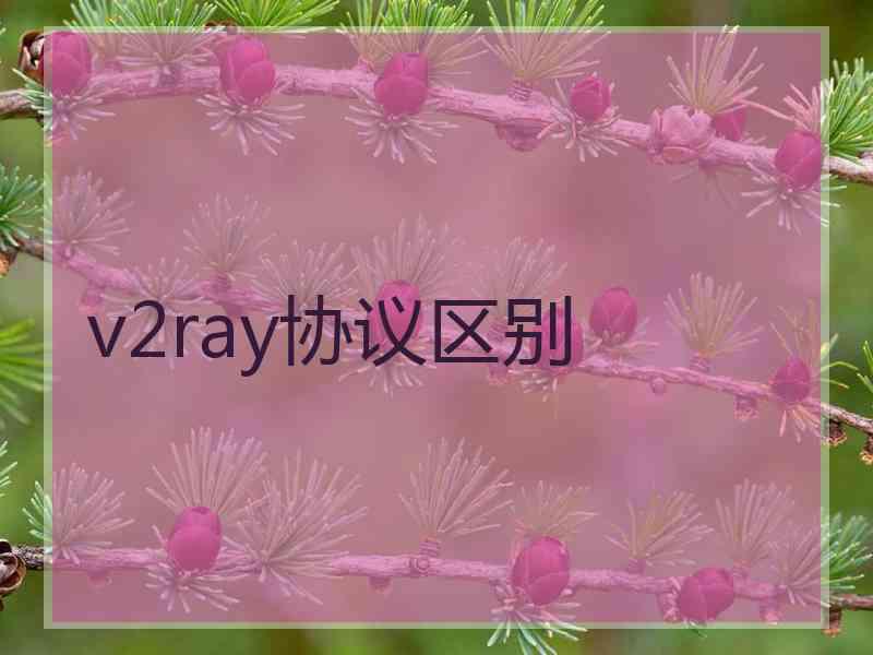 v2ray协议区别