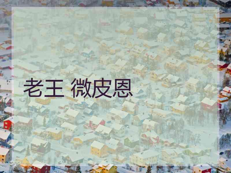 老王 微皮恩