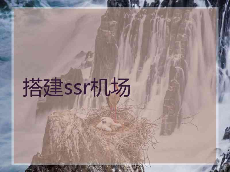 搭建ssr机场