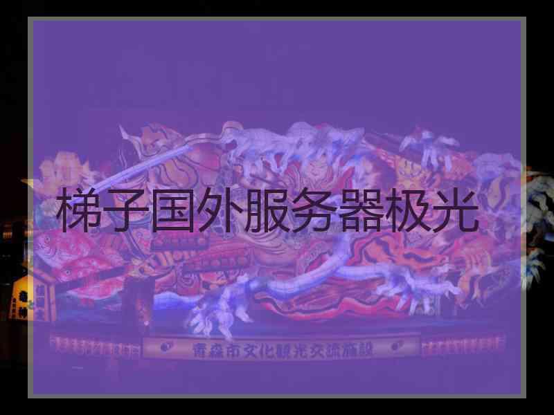 梯子国外服务器极光