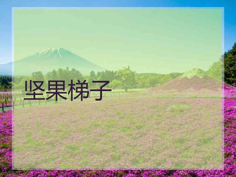 坚果梯子
