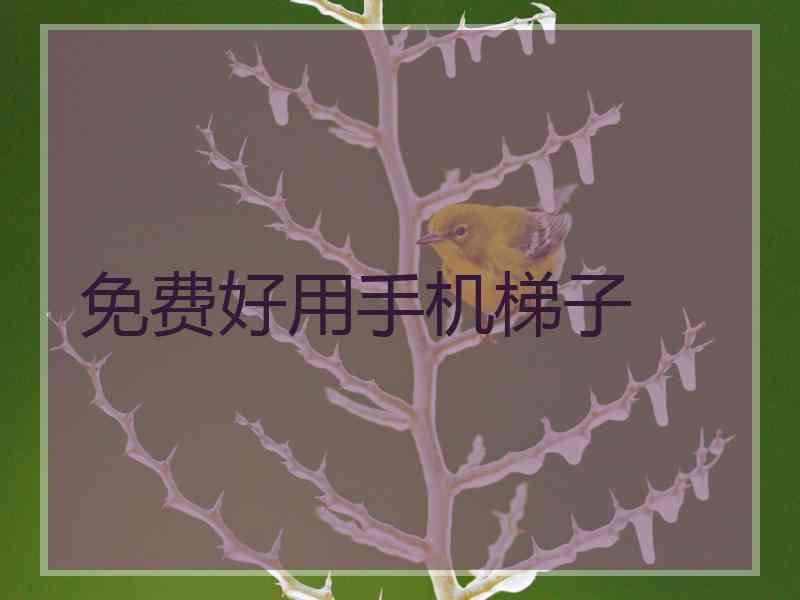 免费好用手机梯子