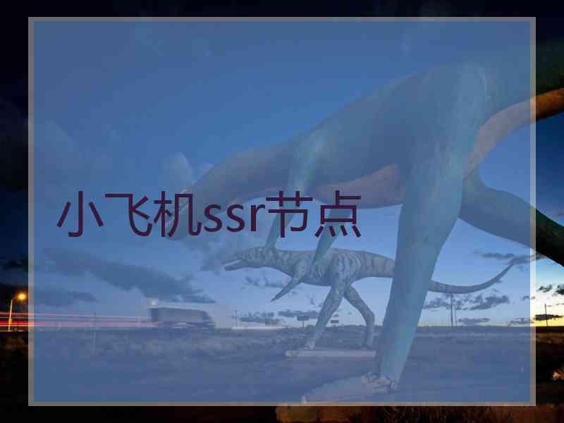 小飞机ssr节点