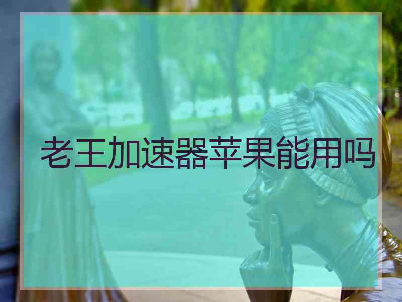 老王加速器苹果能用吗