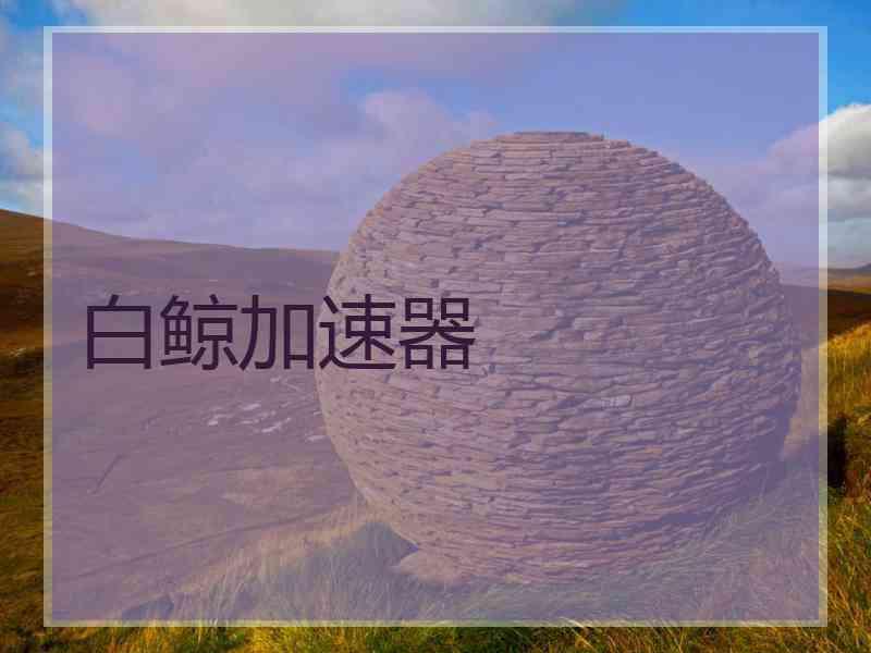 白鲸加速器