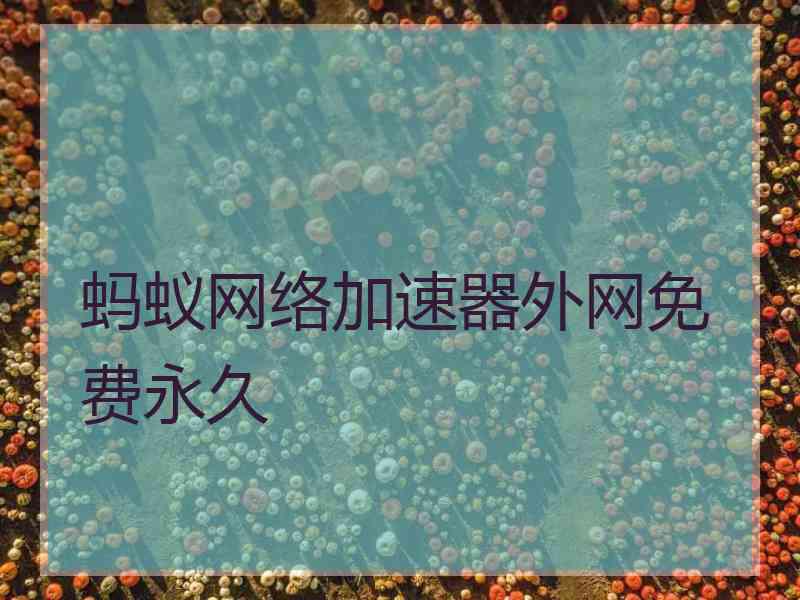 蚂蚁网络加速器外网免费永久