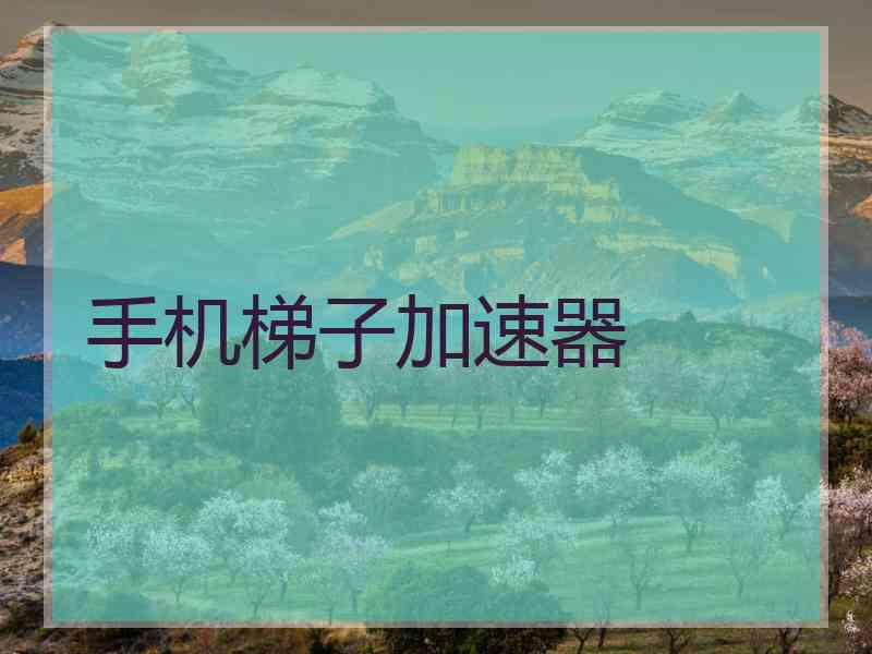 手机梯子加速器