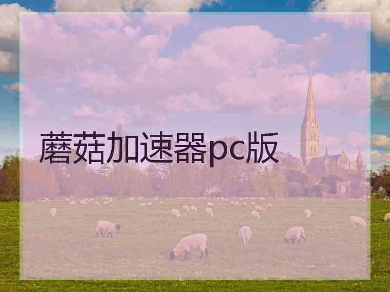 蘑菇加速器pc版