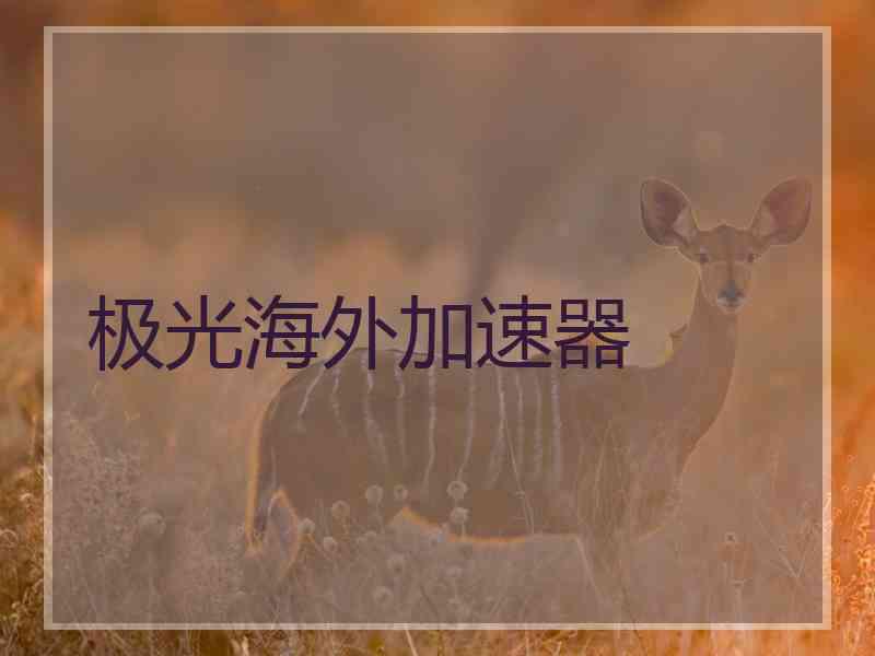 极光海外加速器